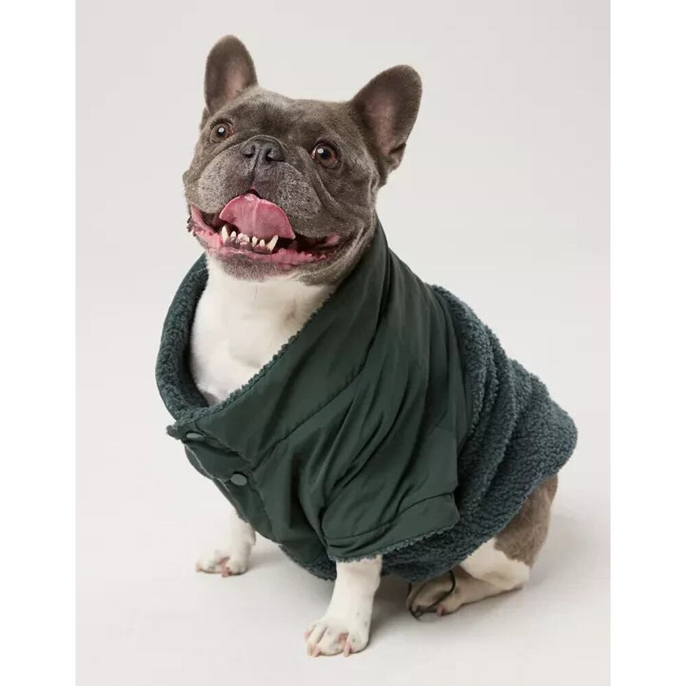 OFFLEASH By Aerie Fluff Love Sherpa Dog Quarter Snap Mystical Green XL A004150